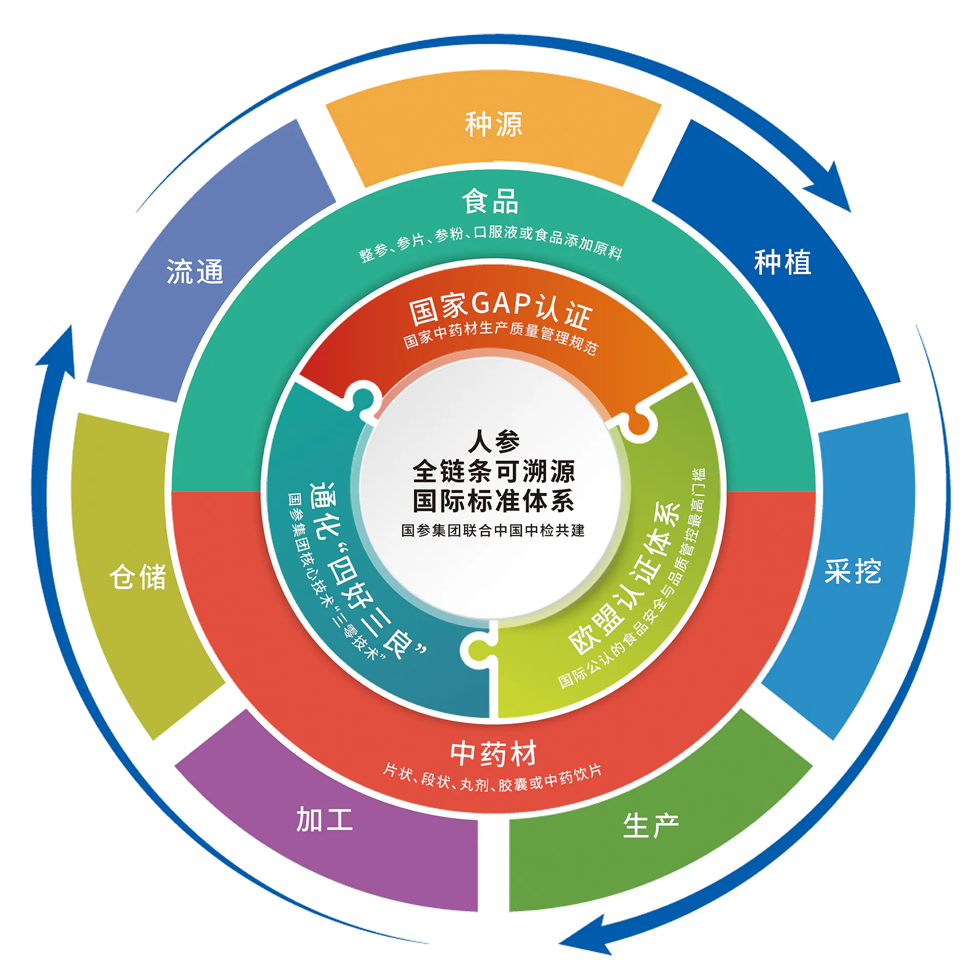 人参全链条可溯源标准体系结构图
