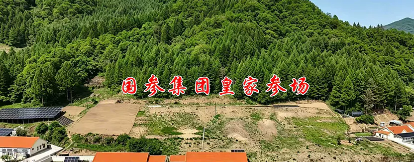 上三旗参场全景